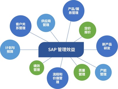 SAP外包型售后服務(wù)中的外包服務(wù)供應(yīng)商管理 價(jià)值、挑戰(zhàn)與優(yōu)化策略
